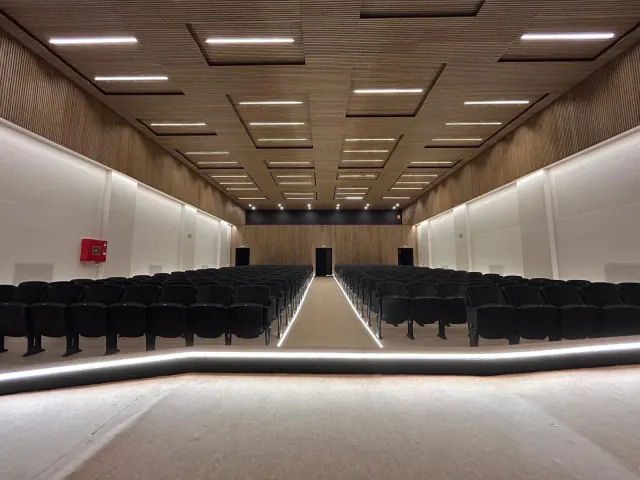 Auditorium with a coffered natural wood-look slat ceiling and slatted walls