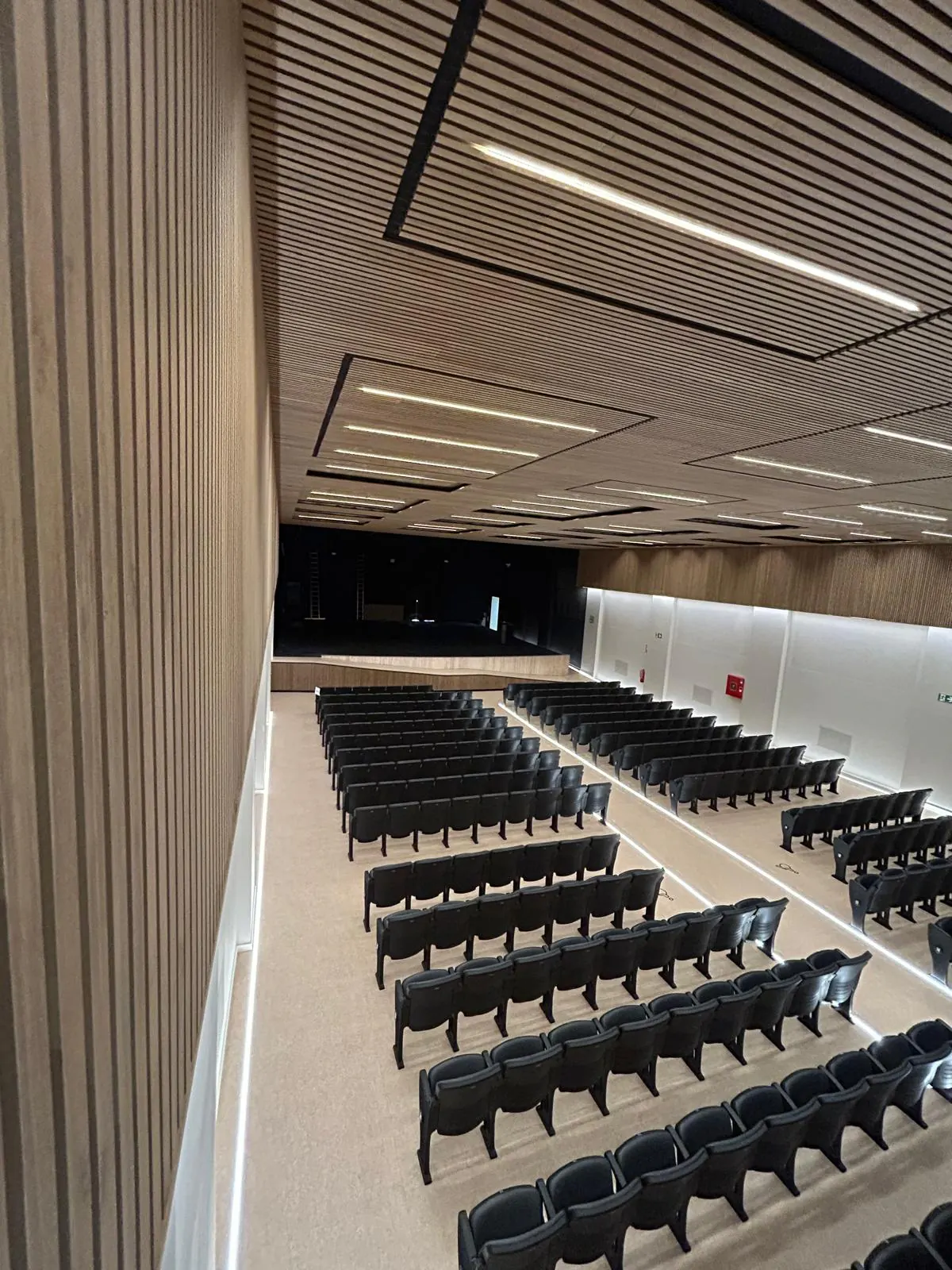 Auditorium seating seen from above, with natural wood-look slat walls and ceiling