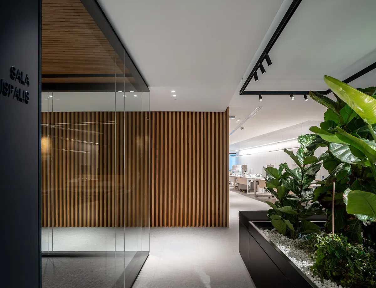Natural wood-look acoustic slat wall installed in an open-plan office