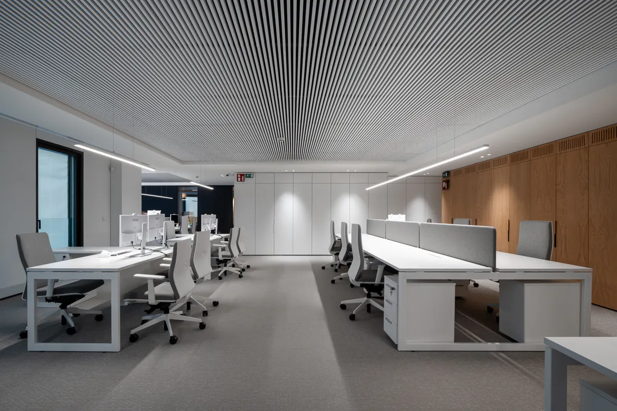 Open-plan office with a white slat ceiling above rows of desks